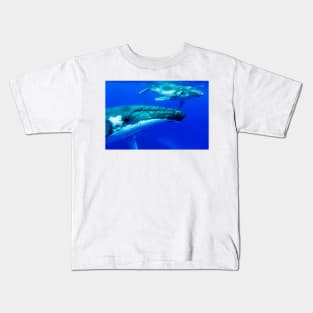 Humpback whale mother and calf (C035/6066) Kids T-Shirt